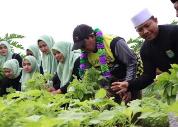 Hari Ketiga Turdes, Gubernur Kalsel Panen Bersama Warga Desa Gunung Besar