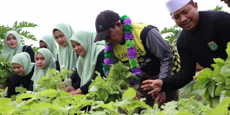 Hari Ketiga Turdes, Gubernur Kalsel Panen Bersama Warga Desa Gunung Besar