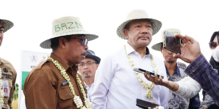 Pemprov Kalsel Apresiasi Panen Raya Program Lumbung Pangan Barito Kuala 2024