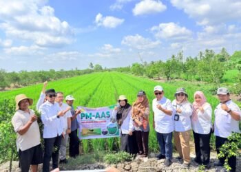 DPKP Kalsel Dampingi Kementan Pantau LTT di Barito Kuala, Dorong Percepatan Swasembada Pangan