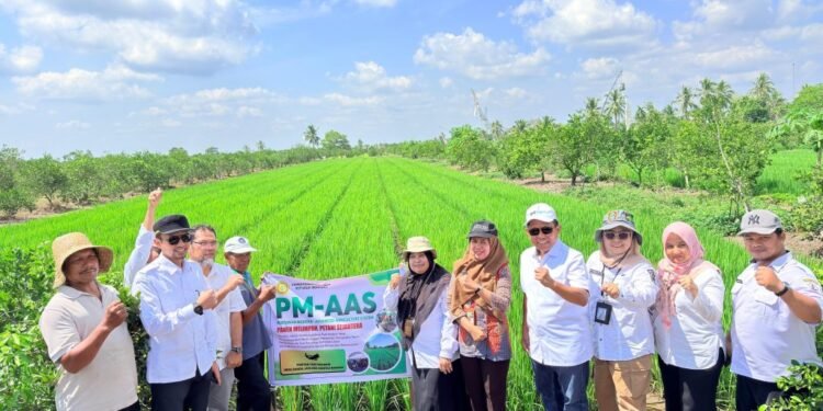 DPKP Kalsel Dampingi Kementan Pantau LTT di Barito Kuala, Dorong Percepatan Swasembada Pangan